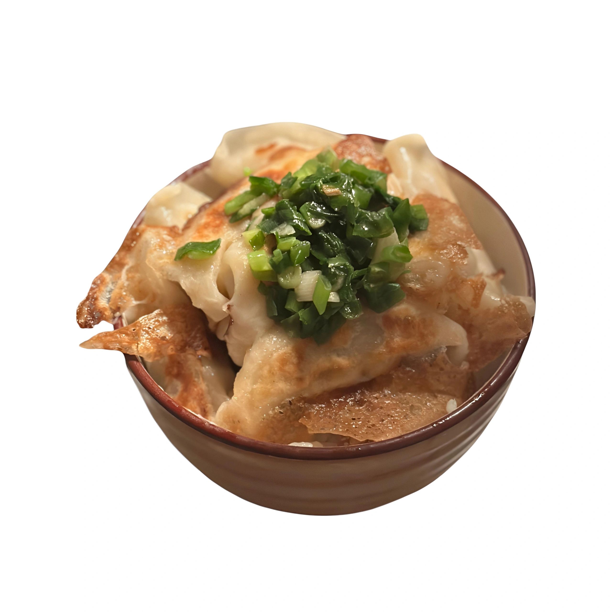 Fried dumplings plated and ready to serve